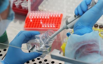 Результаты микробиологических исследований, проведенных референтной лабораторией ФГБУ "НЦБРП" в 2021 году