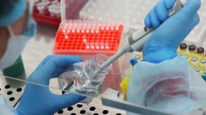 Результаты микробиологических исследований, проведенных референтной лабораторией ФГБУ "НЦБРП" в 2021 году
