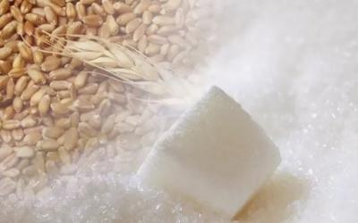 Россия введет временный запрет на экспорт зерновых и сахара