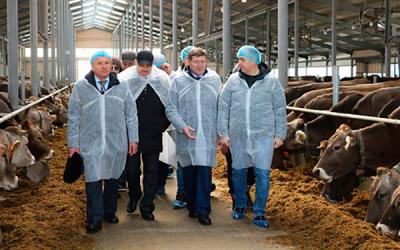 В Нижегородской области запустили молочный комплекс