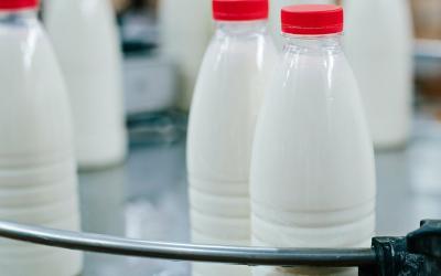 В Минсельхозе Крыма 25 марта начнется прием документов для предоставления субсидии на переработку молока на пищевую продукцию