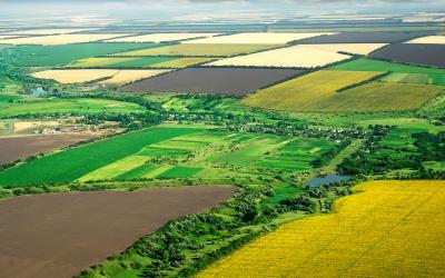 Данные о землях сельхозназначения планируется консолидировать в Минсельхозе