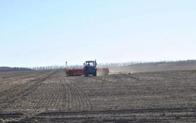 В Ростовской области ведутся активные весенне-полевые работы