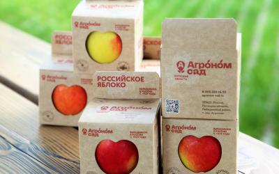 Яблоки «Агроном-сад» в индивидуальной упаковке на одно яблоко