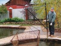 Кормление рыбы 