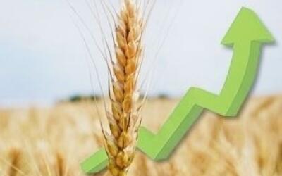 Сельское хозяйство ускорило рост экономики в августе