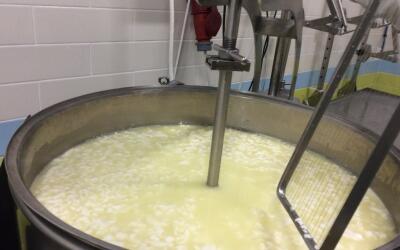 Рязанская Школа сыроделия организует обучение во Франции