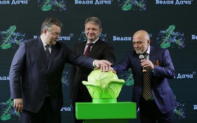 В Ставропольском крае запустили новый тепличный комплекс