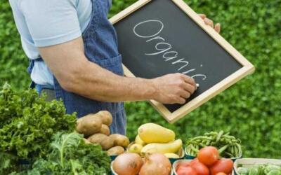 Госдума РФ приняла в первом чтении законопроект об органическом сельском хозяйстве