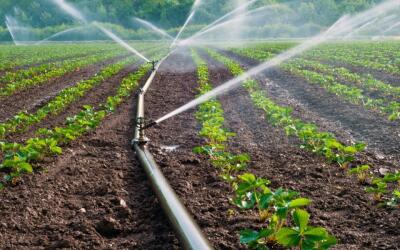 Проблемы мелиорации в Крыму планируют решить в течение 5 лет