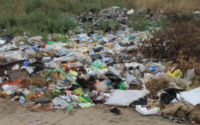 О ликвидации многолетней свалки в Пензенской области