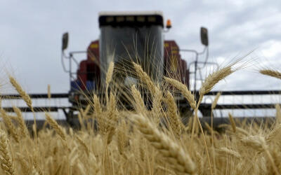 О тяжелой посевной кампании в Новосибирской области доложил Андрей Травников