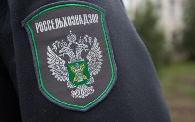 Россельхознадзор ввел временные ограничения на поставки живой птицы и инкубационного яйца из муниципалитета Вордингборг (Дания) в Россию