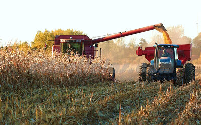 Вклад АПК в рост экономики будет нулевым