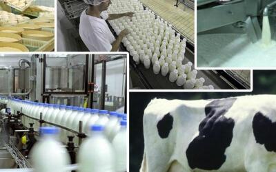 Еврокомиссия проверит безопасность животноводческой продукции