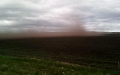 В Башкирии сильный ветер смел почти все посевы сахарной свеклы