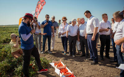 Волгоградские овощеводы обменялись опытом в рамках Дня поля