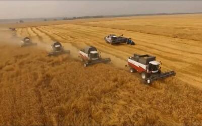В России завершается уборочная кампания