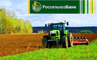 Россельхозбанк на треть увеличил кредитование сезонных работ в Белгородской области