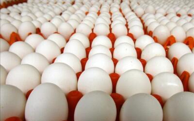 Россельхознадзор получил результаты инспекции российских предприятий специалистами компетентного органа Королевства Саудовская Аравия