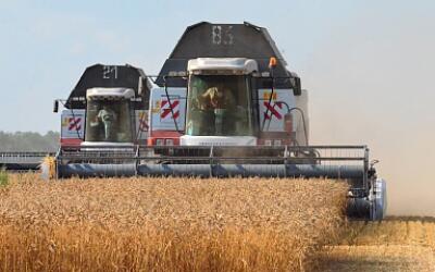 На Дону убрано более четверти площадей зерновых культур