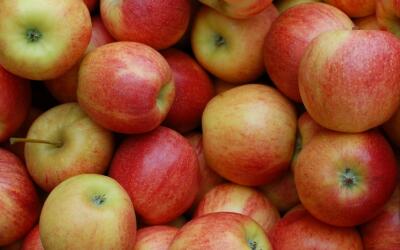 «Неизвестная страна» стала одним из крупнейших поставщиков яблок в Россию