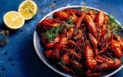 В Краснодарском крае планируют создать крупнейшее в России предприятие по производству раков