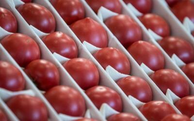 Предложение томатов в РФ достаточно даже без повышения квоты Турции