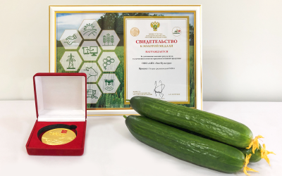 Огурцы АПХ «ЭКО-культура» стали золотым призером выставки АГРОРУСЬ