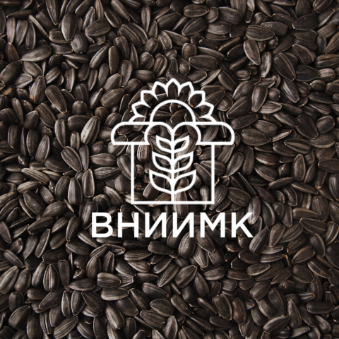 Семена подсолнечника ВНИИМК гибрид Фогор