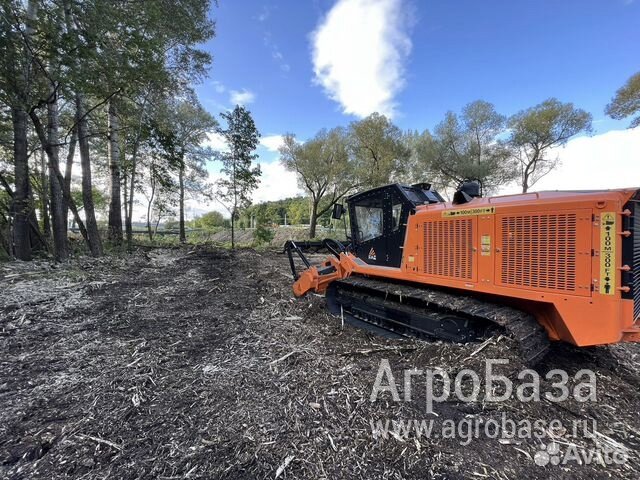 Расчистка заросших полей от деревьев от 1 Га