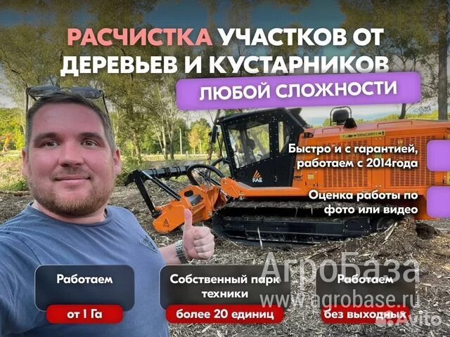 Расчистка заросших полей от деревьев от 1 Га