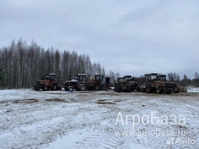 Расчистка заросших полей от деревьев от 1 Га