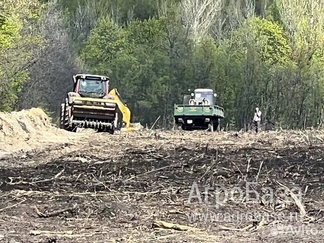 Расчистка заросших полей от деревьев от 1 Га