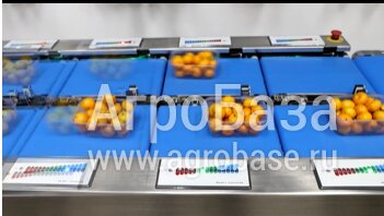 Полуавтоматический сортировочный комплекс WorkerInspector