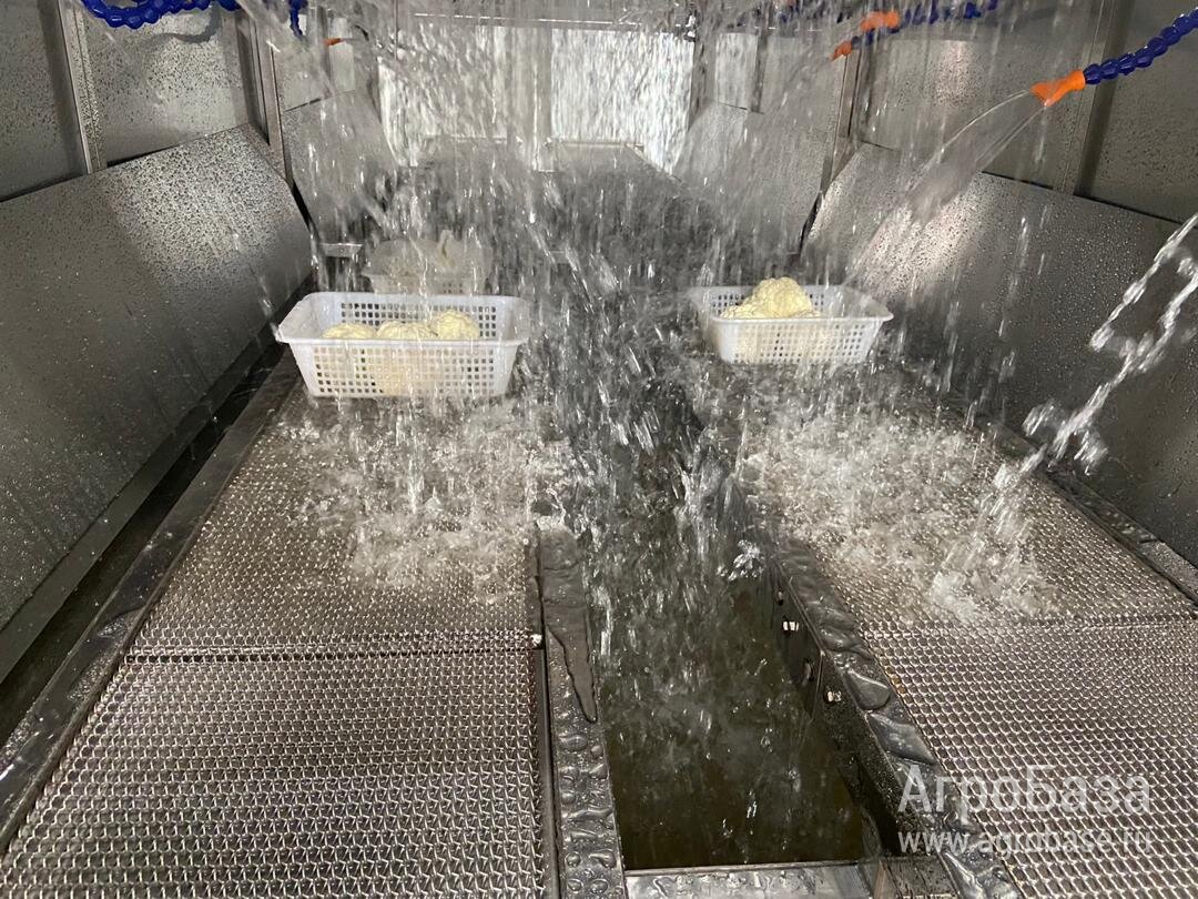 Туннельный гидроохладитель WorkerCooling для овощей, фруктов и ягод