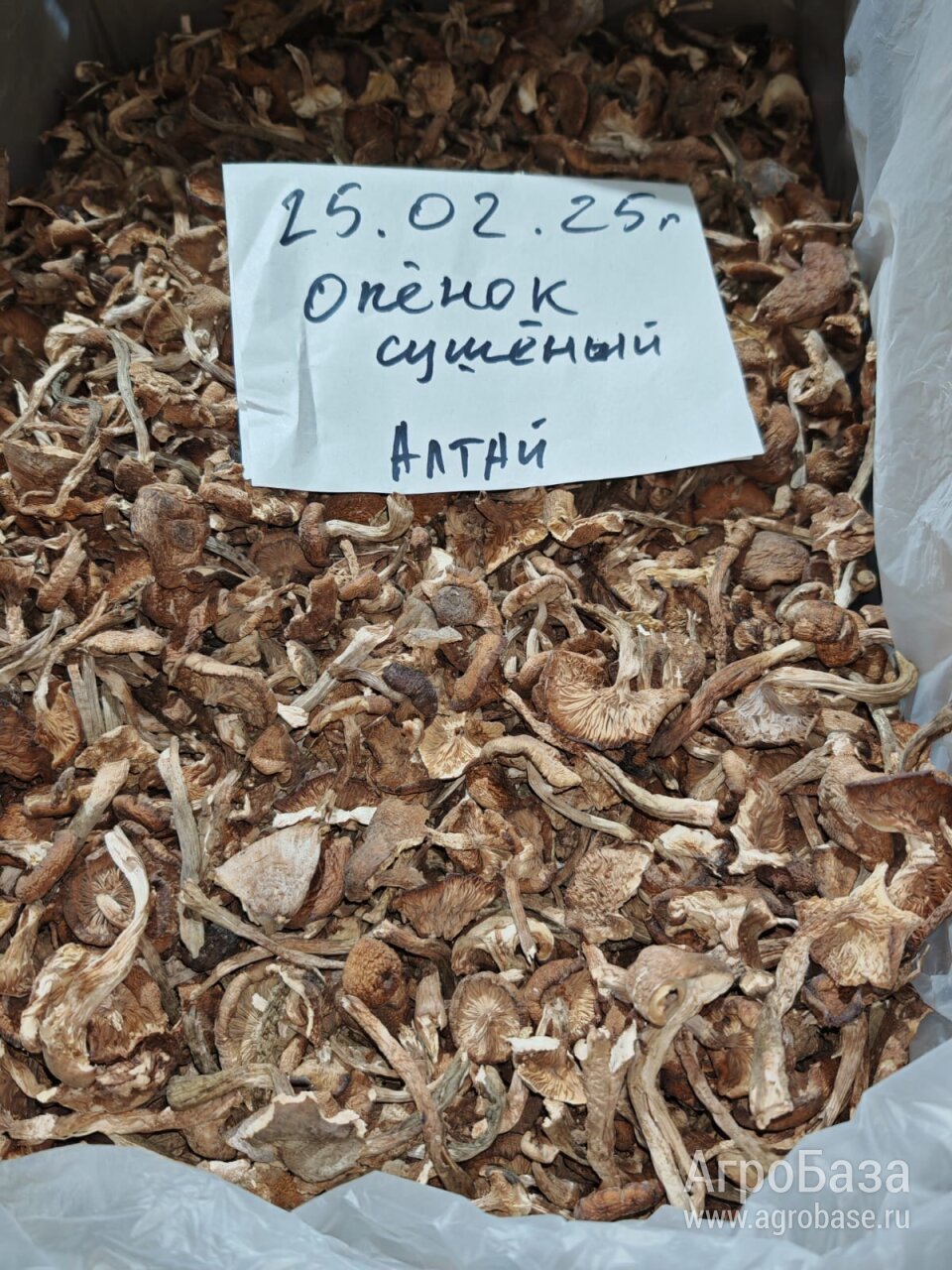 АЛТАЙСКИЙ СУХОЙ ОПЕНОК