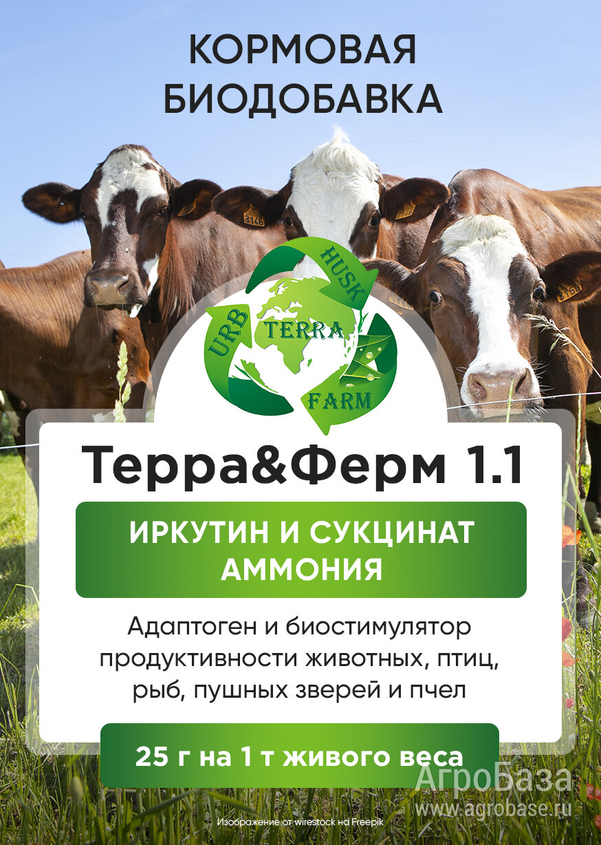 Новый адаптоген и биостимулятор продуктивности животных Элис&Ферм 1.1 Новый адаптоген и биостимулятор продуктивности животных Элис&Ферм 1.1