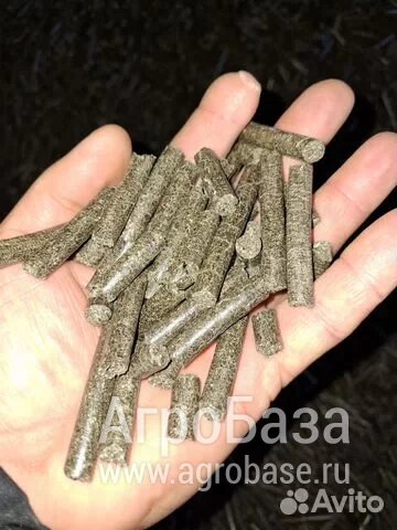 Шрот подсолнечный