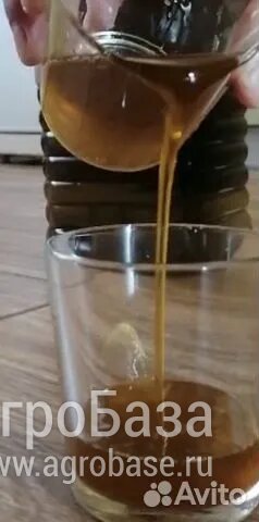 Масло растительное подсолнечное