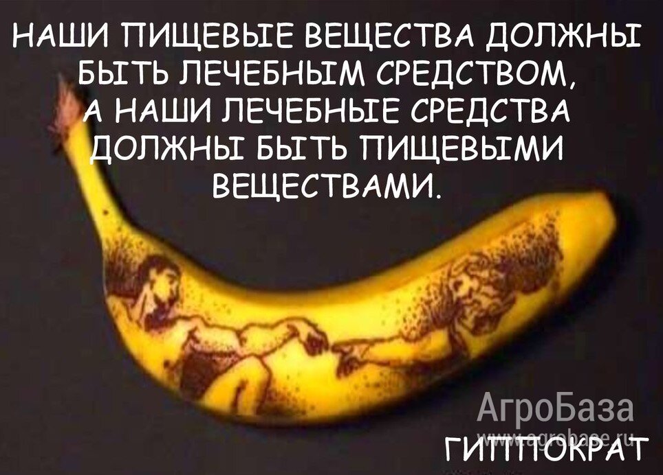 Приглашаем инвесторов к участию в новом проекте "Субтропики России" Приглашаем инвесторов к участию в новом проекте "Субтропики России"