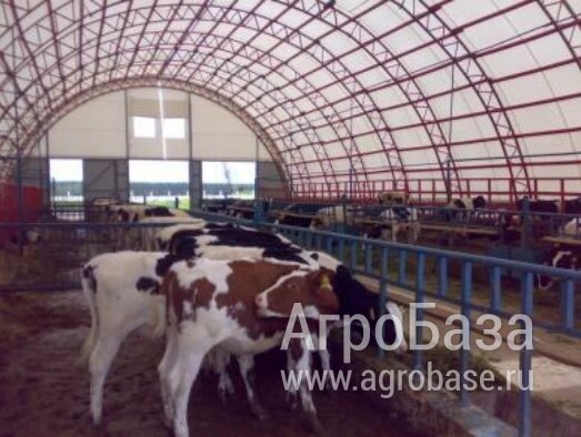 Проектирование и строительство быстровозводимых сооружений