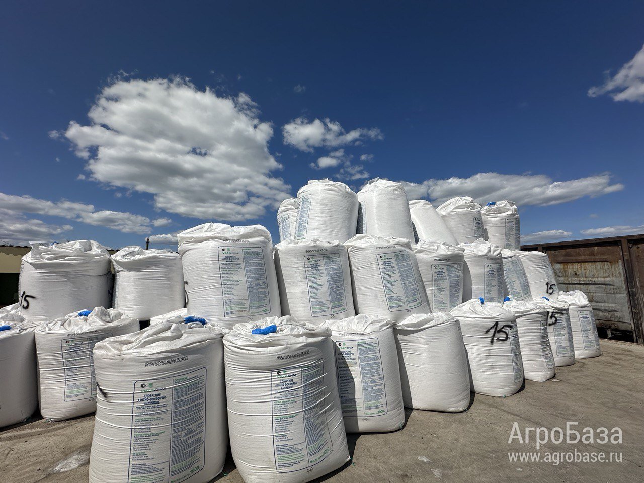 Нитроаммофоска NPKS 15:15:15 (11)