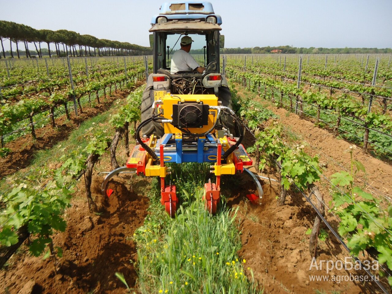 Агрегат Arrizza EXPO DOUBLE H для приствольной обработки виноградника