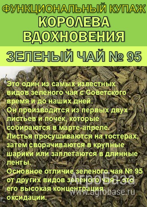 Функциональный купаж «КОРОЛЕВА ВДОХНОВЕНИЯ». Зелёный чай №95 и цветы Османтуса