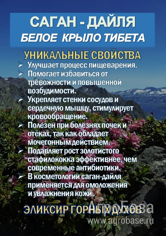Фиточай Саган-Дайля. Белое Крыло.