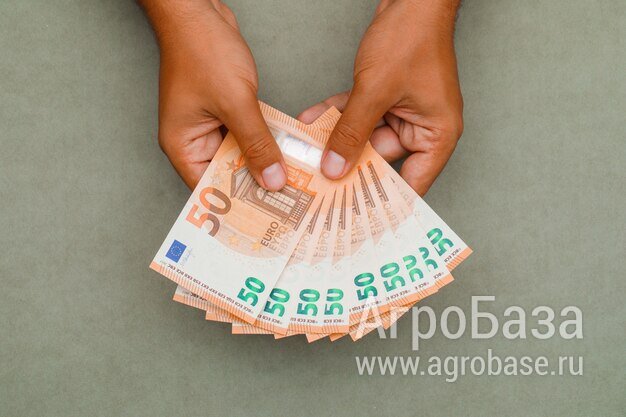 Предложение кредита