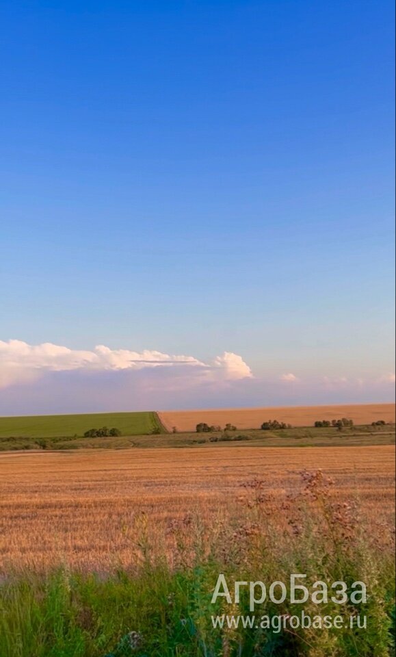 Фермерское хозяйство (кфх), Ростовская область, Белокалитвинский район