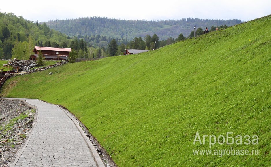 Травосмесь для укрепления откосов