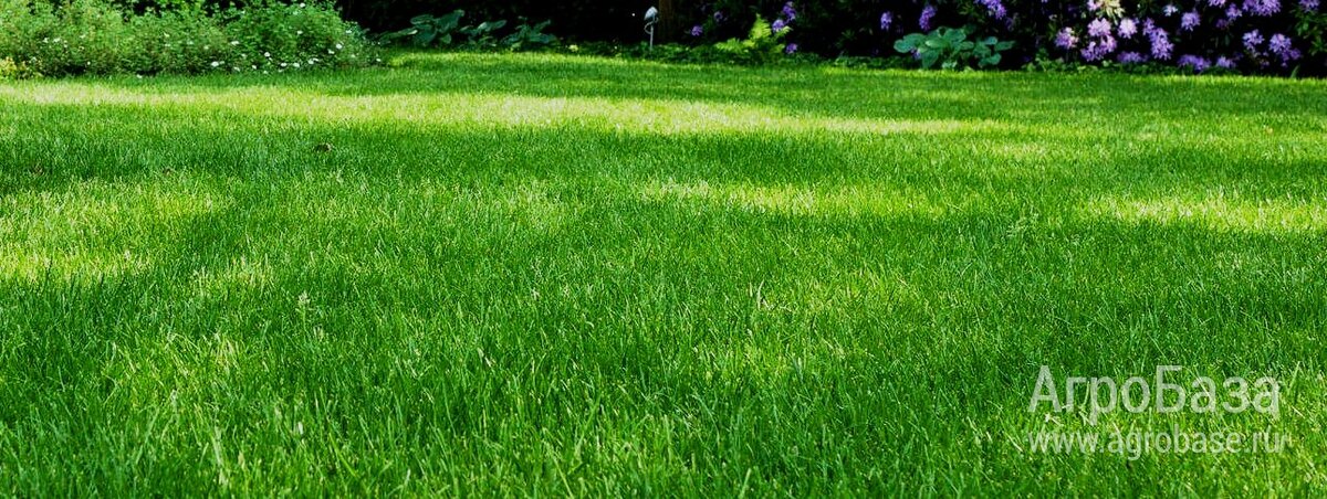 Травосмесь для рекультивации